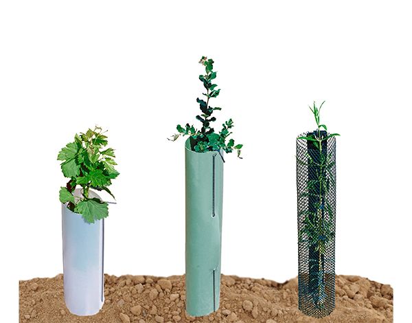 protectores-arboles-tipos
